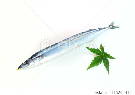 サンマ　秋刀魚　さんま 115201410