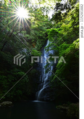 新緑の琴滝 115201882