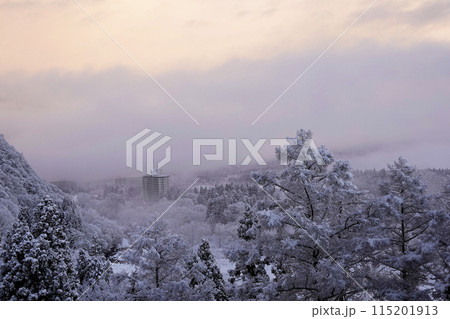 山間部 降り続く雪 合間の幻想的な雪景色 山間部 降り続く雪 合間の幻想的な雪景色 115201913