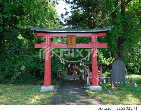 宮城県村田町 白鳥神社の鳥居 宮城オルレ 村田コース 宮城県村田町 白鳥神社の鳥居 宮城オルレ 村田コース 115202241