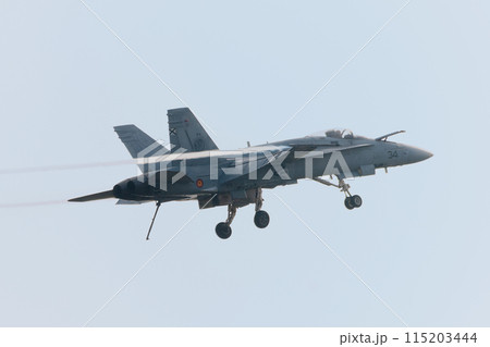 スペイン空軍EF-18Aホーネットのフックダウン 115203444