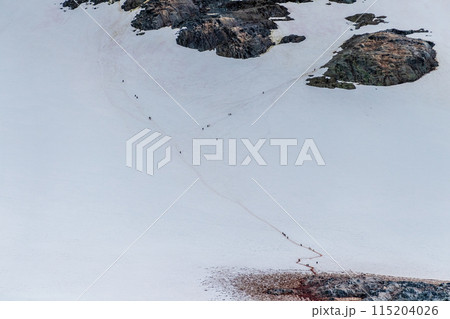 Landscape of the Antarctic Peninsula 115204026