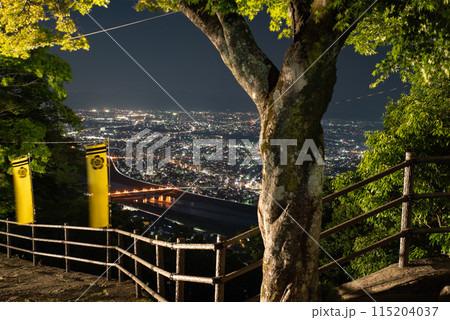 金華山から眺める夜景 115204037