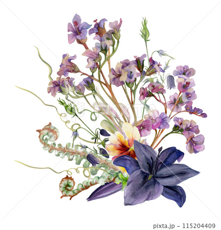 Hand drawn watercolor illustration botanical flowers leaves. Lily clivia amaryllis, bergenia heliotrope lungwort, pink lobelia jasmine, fern shoots tendrils. Bouquet isolated white. Wedding, cards Hand drawn watercolor illustration botanical flowers leaves. Lily clivia amaryllis, bergenia heliotrope lungwort, pink lobelia jasmine, fern shoots tendrils. Bouquet isolated white. Wedding, cards 115204409