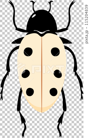 A bug with colorful color and beautiful pattern on its back wing. flat cartoon style. A bug with colorful color and beautiful pattern on its back wing. flat cartoon style. 115204839