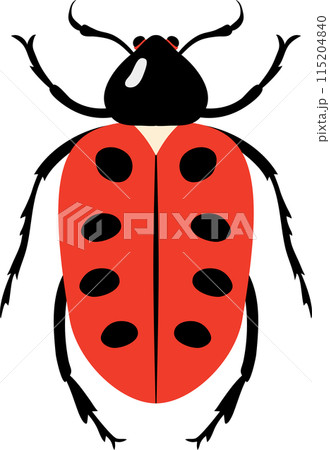 A bug with colorful color and beautiful pattern on its back wing. flat cartoon style. 115204840