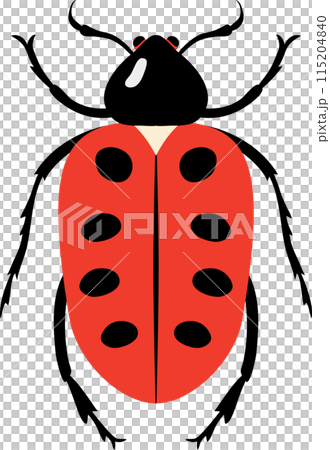 A bug with colorful color and beautiful pattern on its back wing. flat cartoon style. 115204840