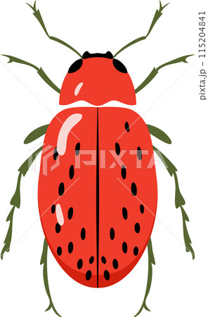 A bug with colorful color and beautiful pattern on its back wing. flat cartoon style. 115204841