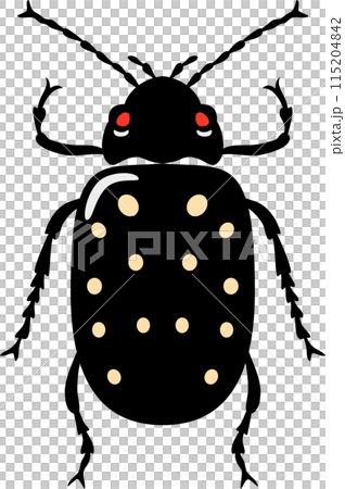 A bug with colorful color and beautiful pattern on its back wing. flat cartoon style. 115204842