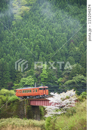 新緑の山里とキハ 115204874