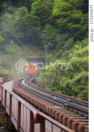 雨上がりの靄 雨上がりの靄 115204875