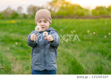 A three year old Caucasian toddler boy holding a bouquet of white dandelions in a field on a spring day. Nature and childhood concept 115205107
