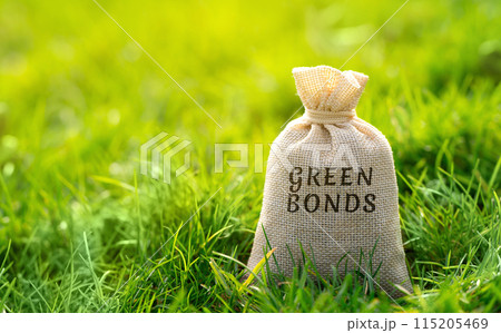 Green bonds concept. Type of fixed-income financial instrument to raise capital for projects and activities that have positive environmental and climate benefits. Money bag 115205469