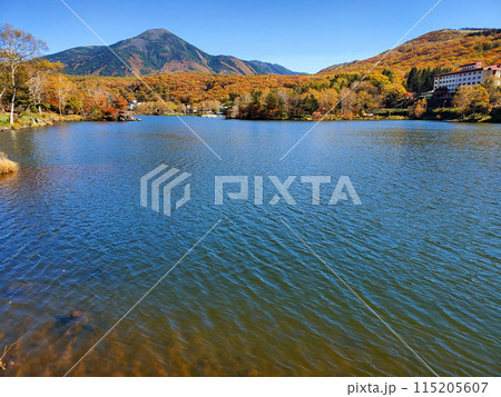 白樺湖と蓼科山 秋の紅葉 白樺湖と蓼科山 秋の紅葉 115205607