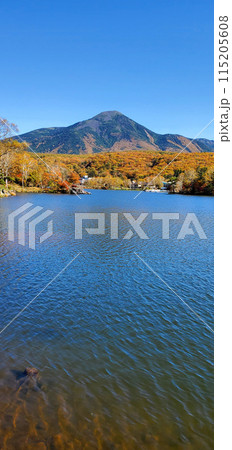 白樺湖と蓼科山 秋の紅葉 115205608