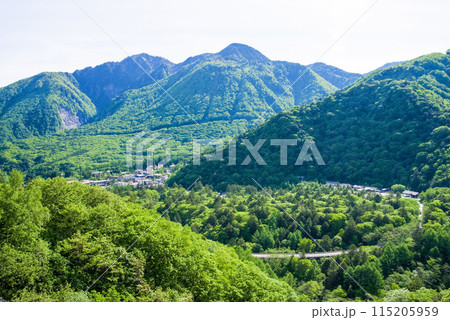 【新緑の平湯温泉】R158平湯トンネル東出口付近の平湯峠・笠見橋からの眺望 115205959