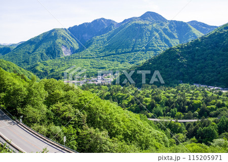 【新緑の平湯温泉】R158平湯トンネル東出口付近の平湯峠・笠見橋からの眺望 115205971