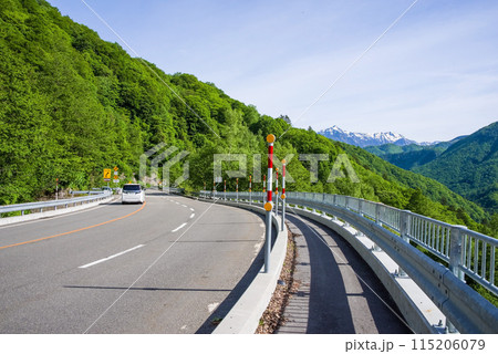 【初夏の平湯温泉】R158平湯トンネル東出口・笠見橋周辺の新緑風景 115206079