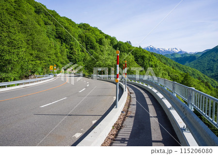 【初夏の平湯温泉】R158平湯トンネル東出口・笠見橋周辺の新緑風景 115206080