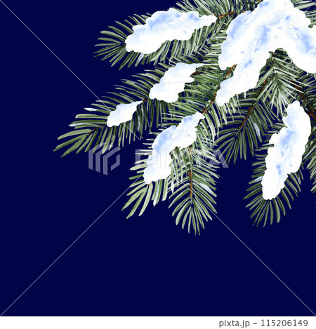 watercolor Christmas tree in the snow, hand drawn sketch of green fir branches, natural pine branch isolated on blue background, winter forest tree illustration watercolor Christmas tree in the snow, hand drawn sketch of green fir branches, natural pine branch isolated on blue background, winter forest tree illustration 115206149