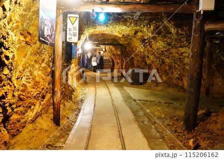 トロッコ列車の軌道と洞窟(佐渡金山) トロッコ列車の軌道と洞窟(佐渡金山) 115206162