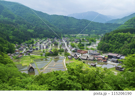 岐阜県 白川郷合掌造り集落 城跡展望台からの風景 世界遺産 岐阜県 白川郷合掌造り集落 城跡展望台からの風景 世界遺産 115206190