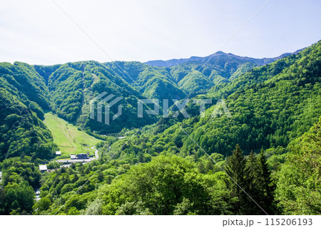 【新緑の平湯温泉】R158平湯トンネル東出口付近の平湯峠からの眺望 115206193