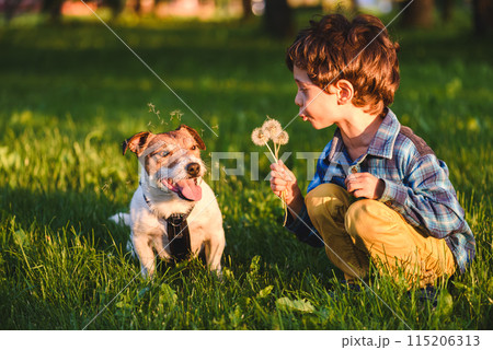 Naughty kid boy making bad joke blowing dandelions at dog 115206313