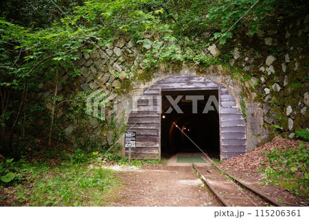 トロッコ列車が入る洞窟の入口 115206361