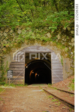 トロッコ列車が入る洞窟の入口 115206363