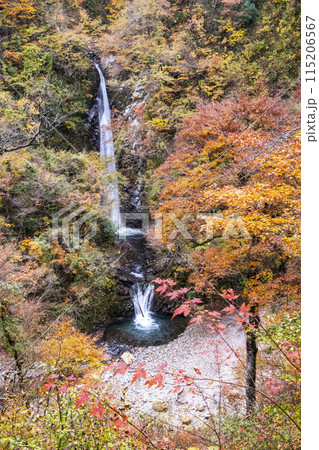 大山滝の紅葉 115206567