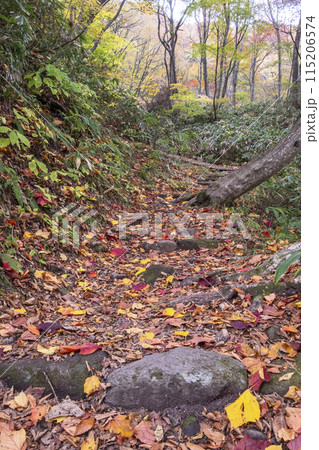 大山滝の紅葉 大山滝の紅葉 115206574