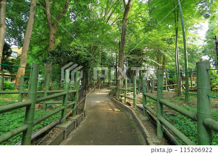 すずめのお宿緑地公園 竹林 すずめのお宿緑地公園 竹林 115206922