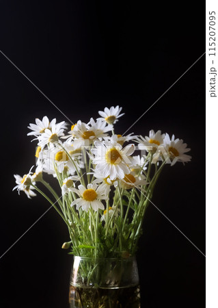 Background with daisies, white chamomile flowers Background with daisies, white chamomile flowers 115207095