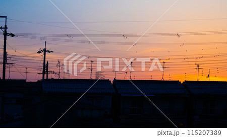 夕焼け 115207389