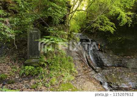 朝比奈切通し 115207612