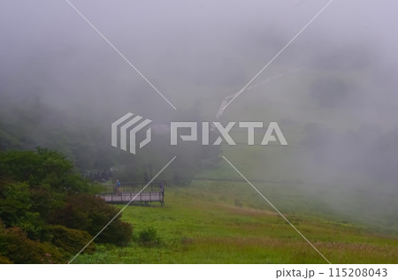 霧降高原 霧に包まれる高原 霧降高原 霧に包まれる高原 115208043