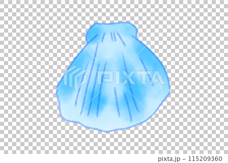 カラフルな貝殻 115209360