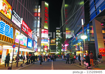夜の新宿 歌舞伎町一番街 劇場通り 夜の新宿 歌舞伎町一番街 劇場通り 115209495