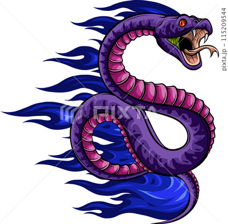 Colorful hand drawn vector illustration of snake Colorful hand drawn vector illustration of snake 115209544