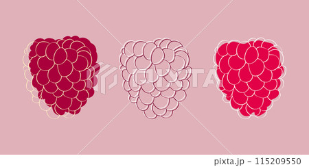 A digital illustration of three raspberries in various stages of ripeness on a light pink background. A digital illustration of three raspberries in various stages of ripeness on a light pink background. 115209550