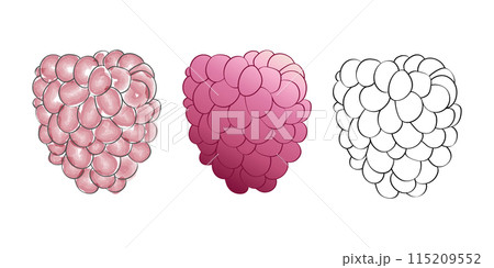 3 digital raspberry illustrations in different styles, a fully colored version, a partially colored version, and an outline version. 115209552