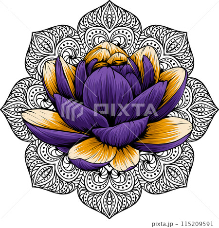 Beautiful flower Lily Lotus vector illustration design 115209591