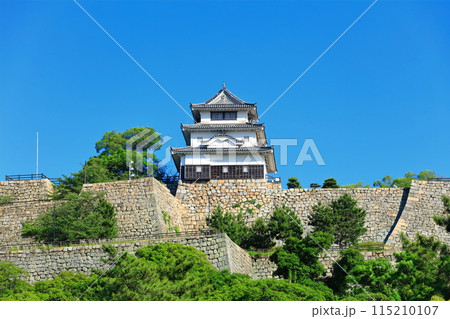 【香川県】北側内堀から見た五月晴れの丸亀城（現存天守と石垣の名城） 115210107