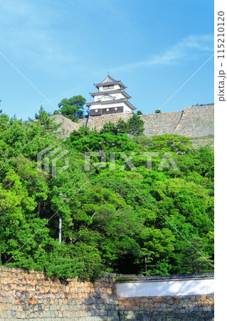 【香川県】北側内堀から見た五月晴れの丸亀城（現存天守と石垣の名城） 115210120