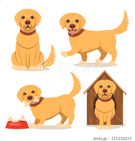Set of retriever dogs in different poses on a white background. 115210223