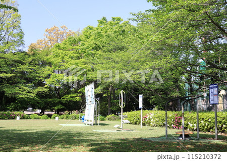 新緑の北本総合公園の風景 新緑の北本総合公園の風景 115210372