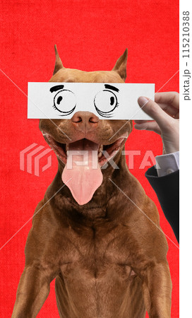 Happy, playful look. Purebred dog against bright red background, with hand holding drawn cartoonish eyes. Creative collage. Happy, playful look. Purebred dog against bright red background, with hand holding drawn cartoonish eyes. Creative collage. 115210388