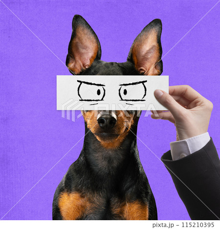 Serious pet. Purebred dog against purple background with human hand holding drawn cartoonish eyes. Creative collage. 115210395