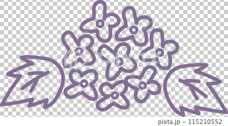 繡球花手繪插畫 繡球花手繪插畫 115210552